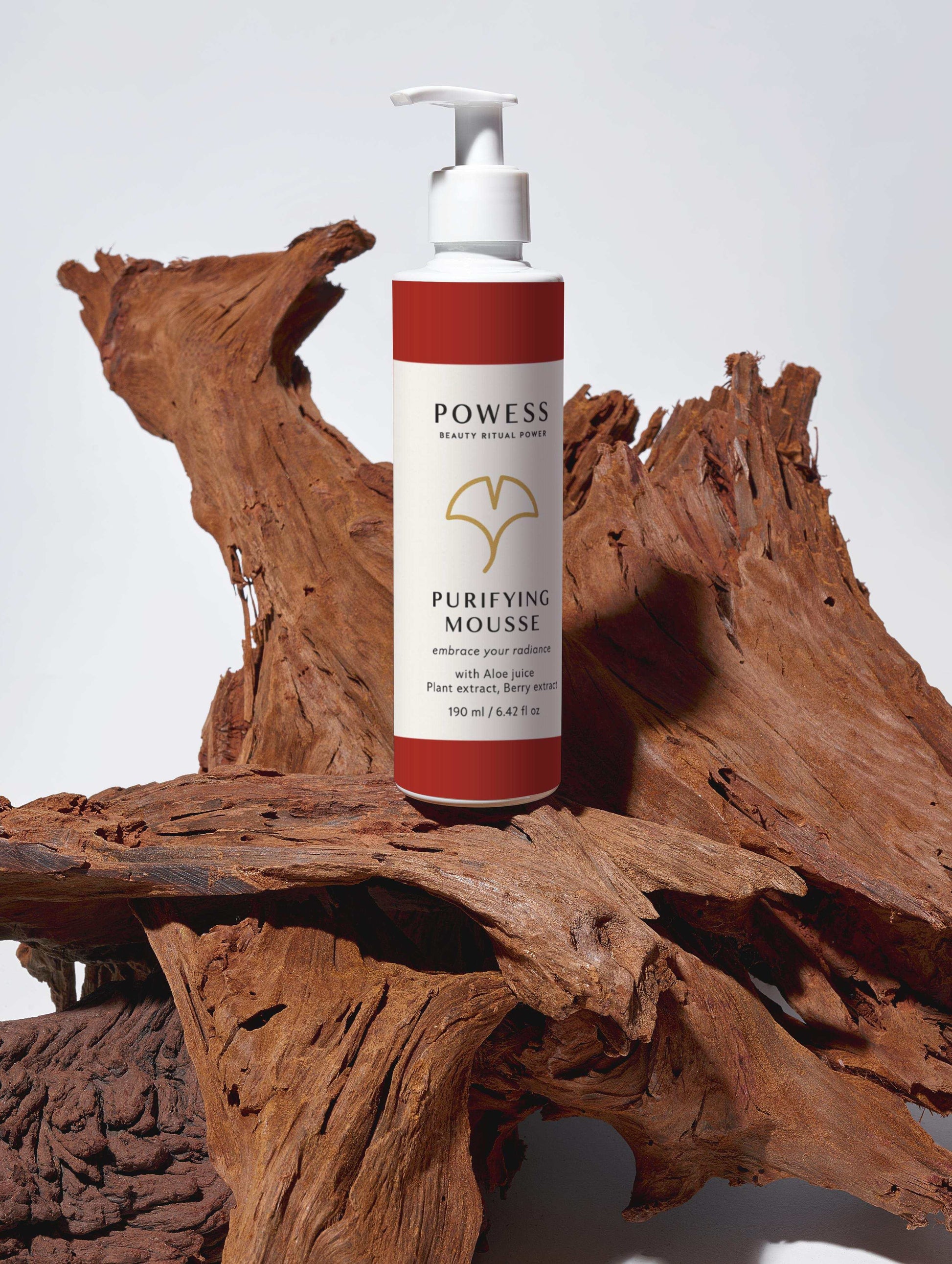 Powess Purifying Mousse