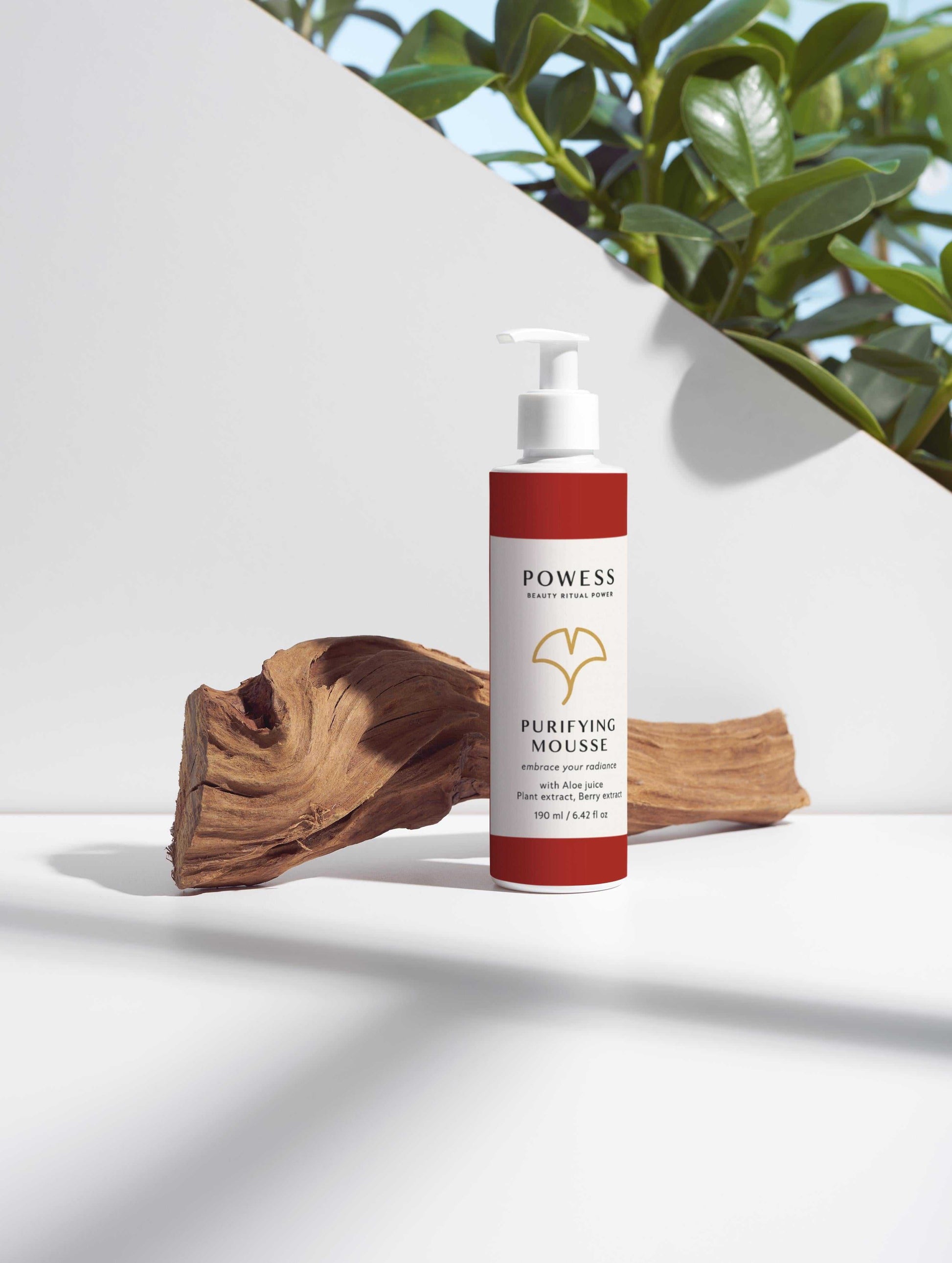 Powess Purifying Mousse